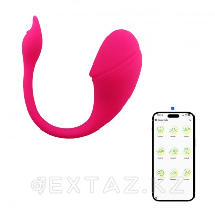Виброяйцо с управлением через приложение Sharp tail от sex shop Extaz фото 5
