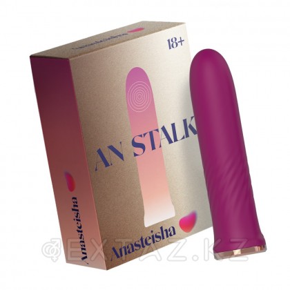 Элегантный миниатюрный вибромассажер AN Stalk от Anasteisha от sex shop Extaz фото 2