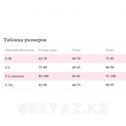 Боди эротический кружевной Amor El Felisa, красный S/M от sex shop Extaz фото 3