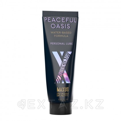 MAXUS Интимный гель «ЖИВОПИСНЫЙ ОАЗИС (PEACEFUL OASIS)», на водной основе, 75мл от sex shop Extaz