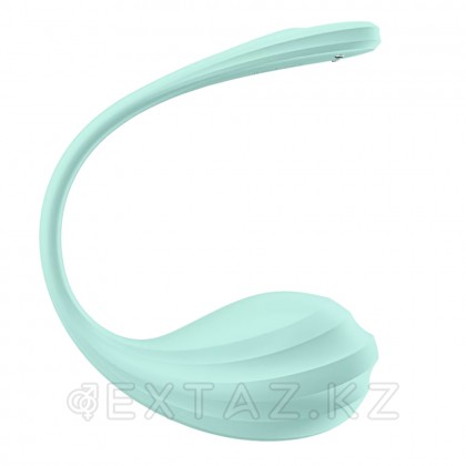 Виброяйцо Satisfyer Smooth Petal бирюзовый (Connect App) от sex shop Extaz
