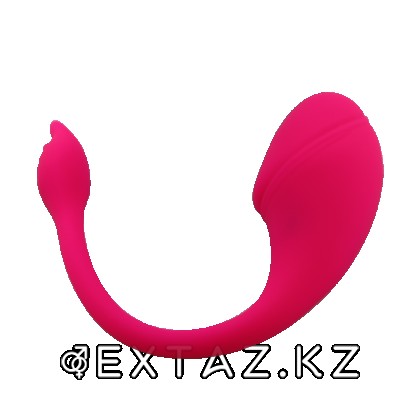 Виброяйцо с управлением через приложение Sharp tail от sex shop Extaz фото 2