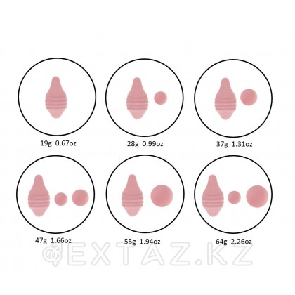 Набор для тренировок интимных мышц Pelvix от FEMINTIMATE от sex shop Extaz фото 2