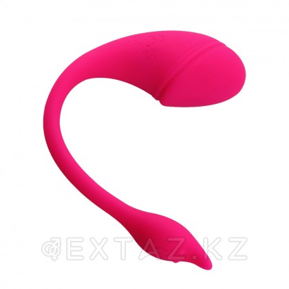Виброяйцо с управлением через приложение Sharp tail от sex shop Extaz фото 3