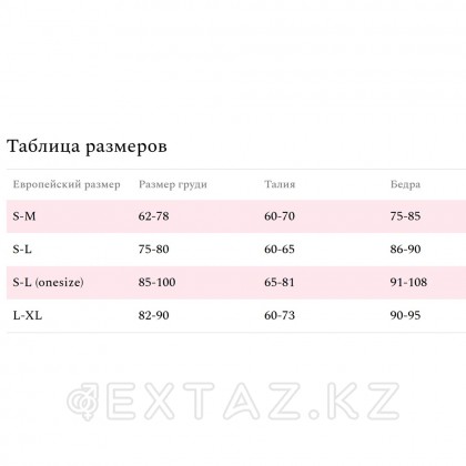 Комплект эротического белья Amor El Tina, черный, S/M от sex shop Extaz фото 2