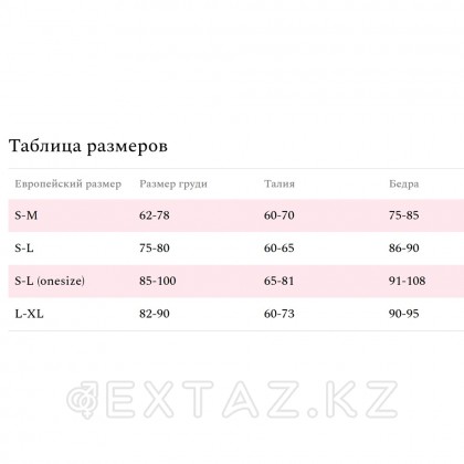 Комплект эротического белья Amor El с поясом и гартерами (M) от sex shop Extaz фото 2
