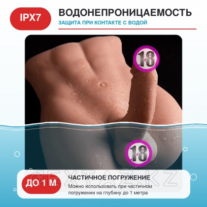 Реалистичный фаллоимитатор и мастурабтор-анус Bartlett с вибрацией и фрикциями  от sex shop Extaz фото 8