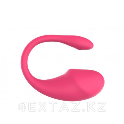Виброяйцо с управлением через приложение Love spouse APP от sex shop Extaz