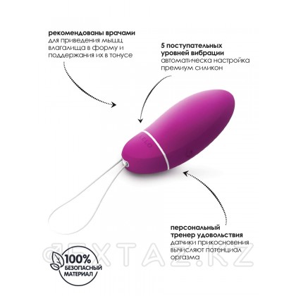 Инновационный вагинальный шарик с сенсорным датчиком Luna Smart Bead (LELO) Розовый от sex shop Extaz фото 4