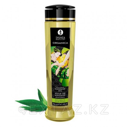 Shunga Kissable Massage Oil - съедобное массажное масло со вкусом зелёного чая, 240 мл. Зелёный чай от sex shop Extaz