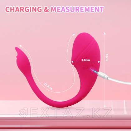 Виброяйцо с управлением через приложение Sharp tail от sex shop Extaz фото 13