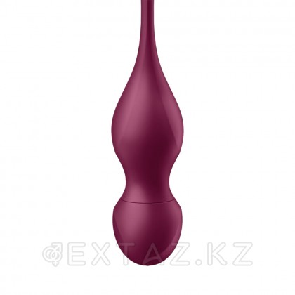 Тренажер Кегеля Satisfyer Love Birds Vary (Connect App) бордовый от sex shop Extaz фото 4