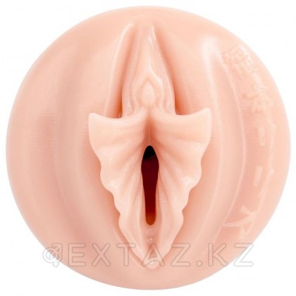 Мастурбатор Fleshlight Fantasy Lilith Fukumoto Shokushu (вагина) от sex shop Extaz фото 3