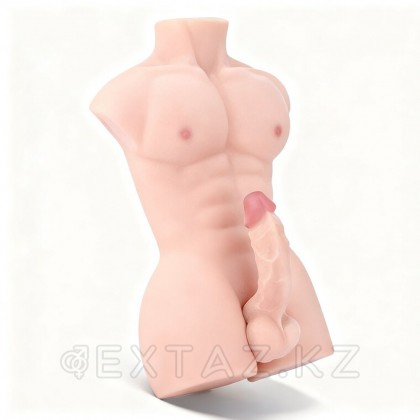 Мужской торс с фаллоимитатором (6 кг.) от sex shop Extaz