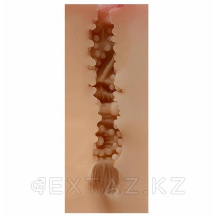 Реалистичный мастурбатор в виде вагины и половых губ Deirdre от sex shop Extaz фото 6