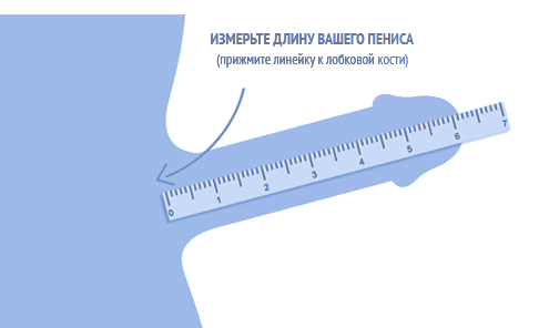 Временная иллюстрация для измерения длины
